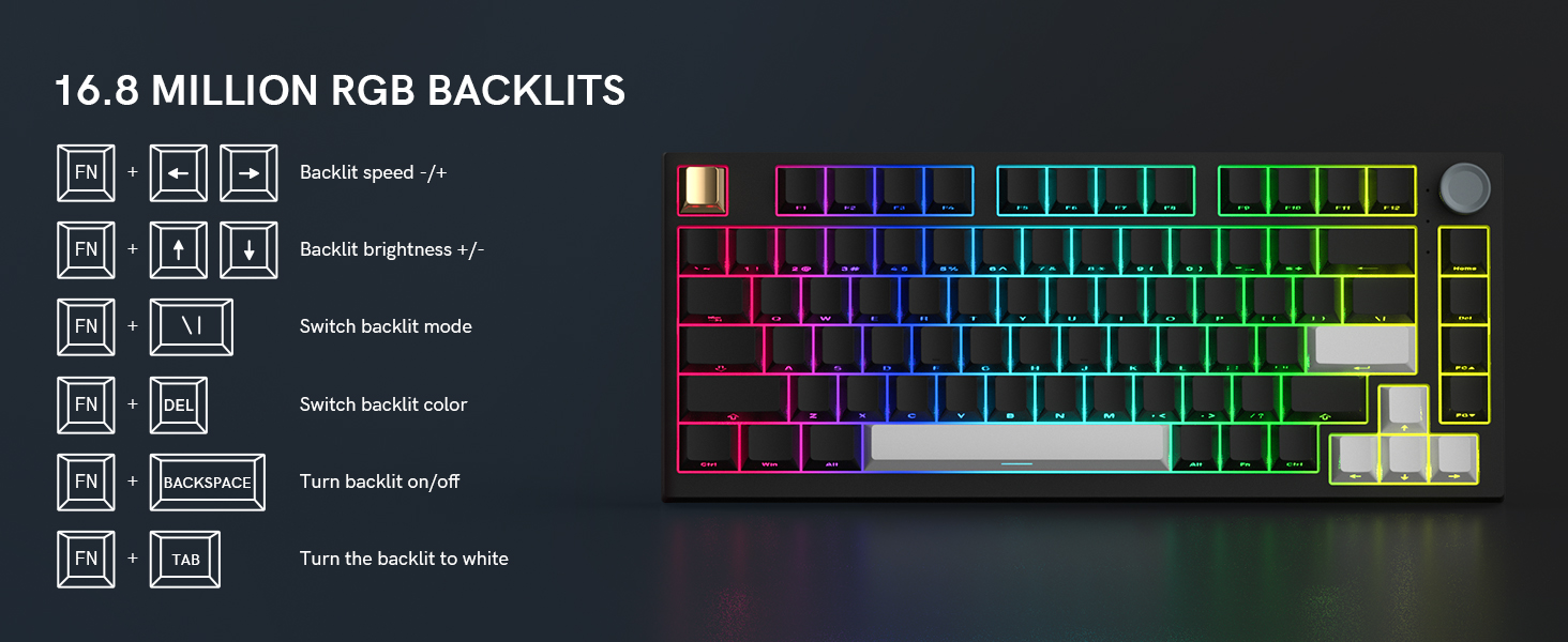 16.8 MILLION RGB BACKLITS