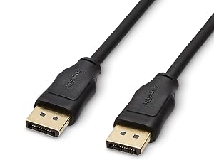 Connect DisplayPort