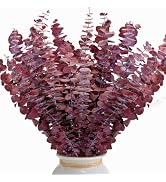 26Pcs Real Dried Fall Eucalyptus Stems, 17" Red Preserved Eucalyptus Stems for Vase, Home Decor, ...