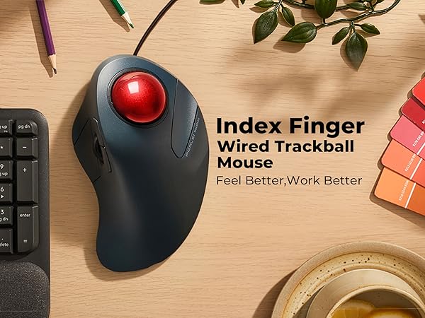 trackball mouse