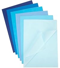 https://m.media-amazon.com/images/S/aplus-media-library-service-media/06fad027-7246-43cb-a56f-c85d5fd94795.__AC_SR200,225___.jpg
