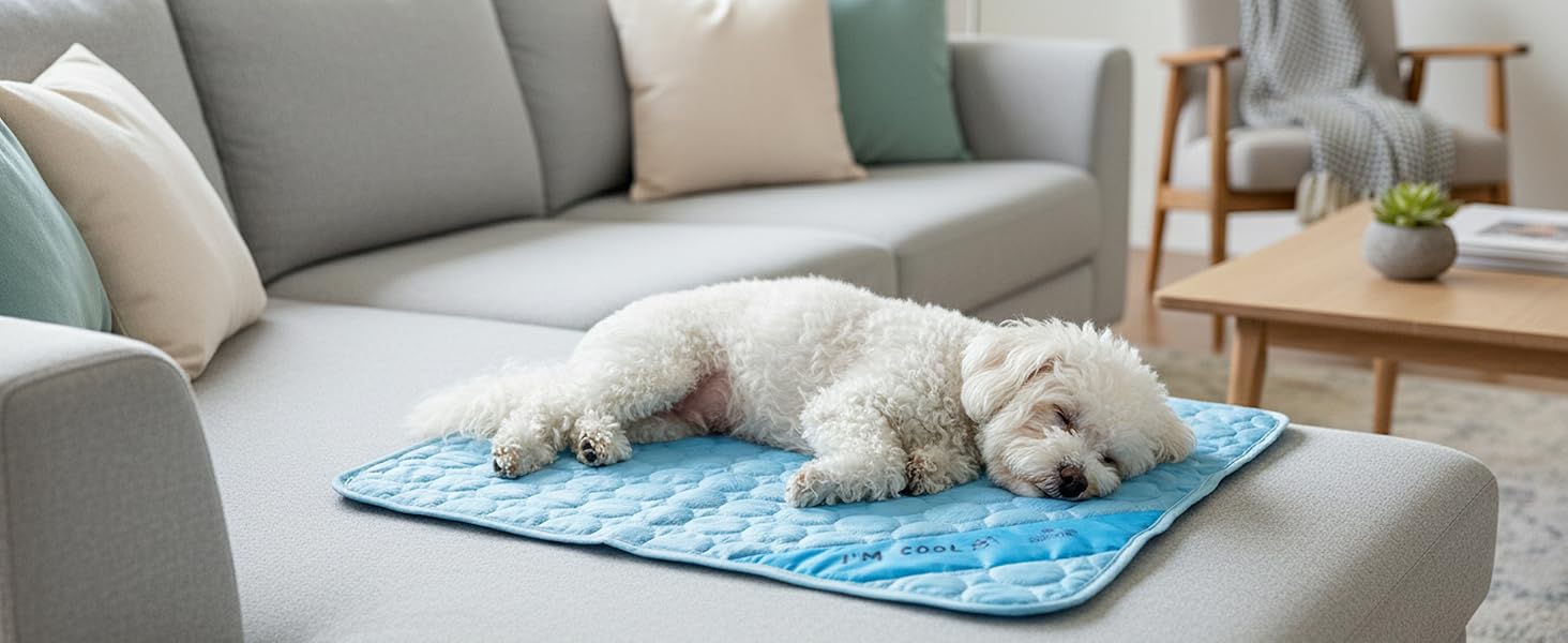 dog sleeping cooling mat sofa living