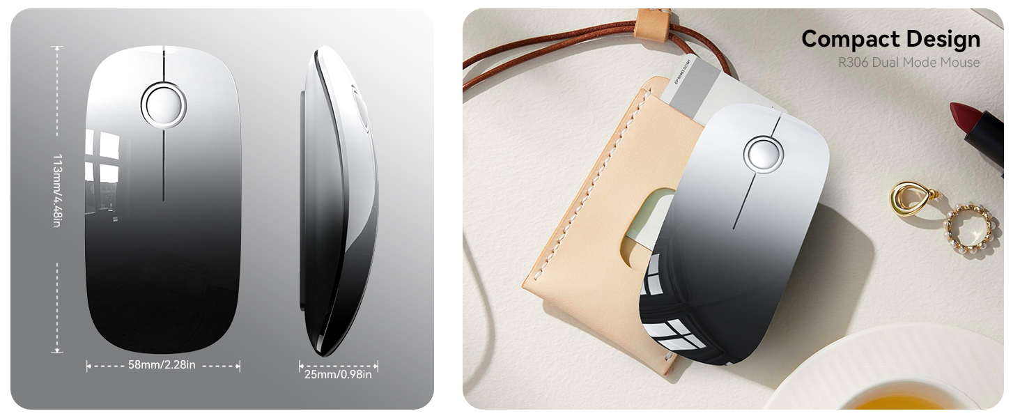 R306 MOUSE