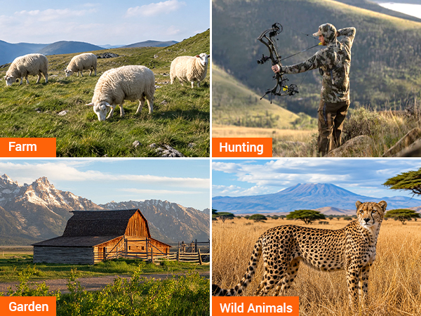Farm/Hunting/Garden/Wild Animals