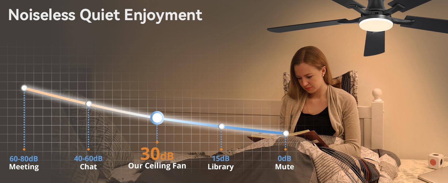 ceiling fan