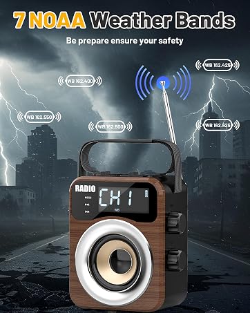 Portable Radio