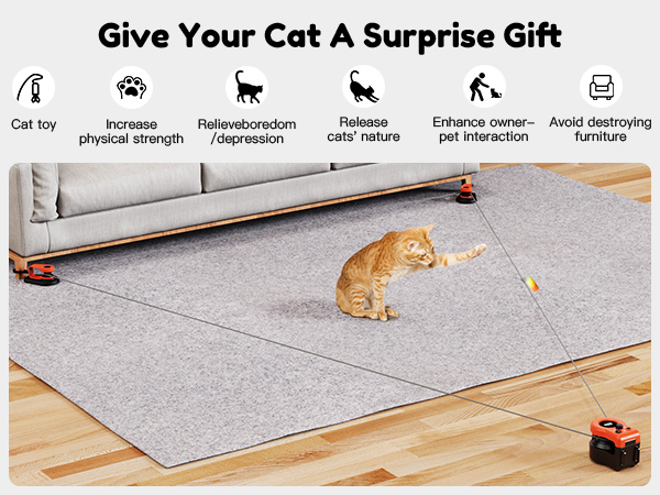 cat gift