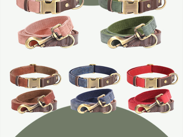 CP511 leather dog collar