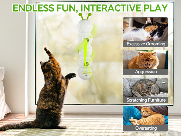 cat toy 3241