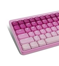 https://m.media-amazon.com/images/S/aplus-media-library-service-media/0ec7493f-3c97-46de-8631-ba32ba70639b.__CR0,0,1778,2000_PT0_SX200_V1___.jpg