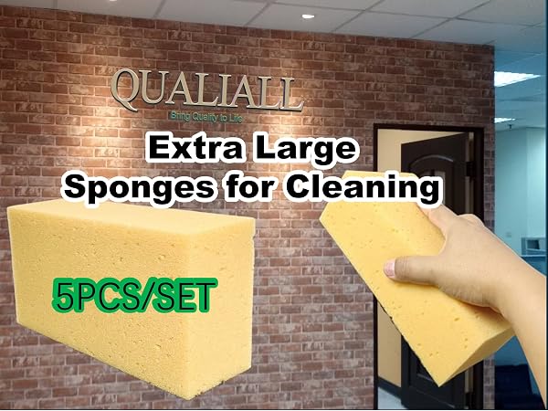 car sponge