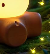 Fake Campfire Lamp