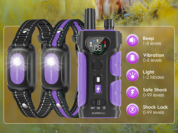 shock collar for dogs