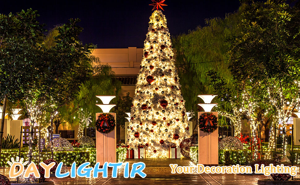 warm white lights