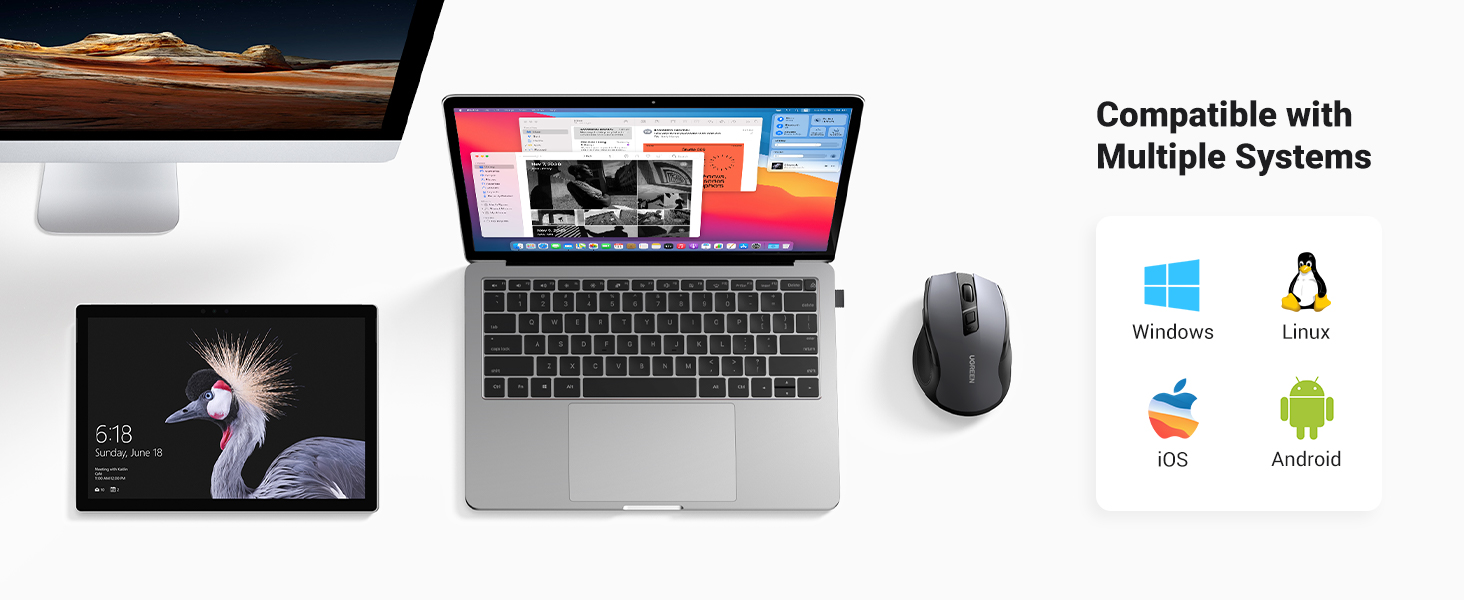 computer mice