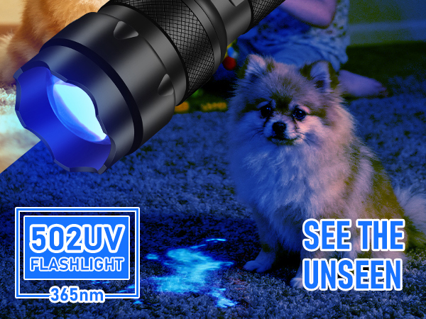 SEE THE UNSEEN