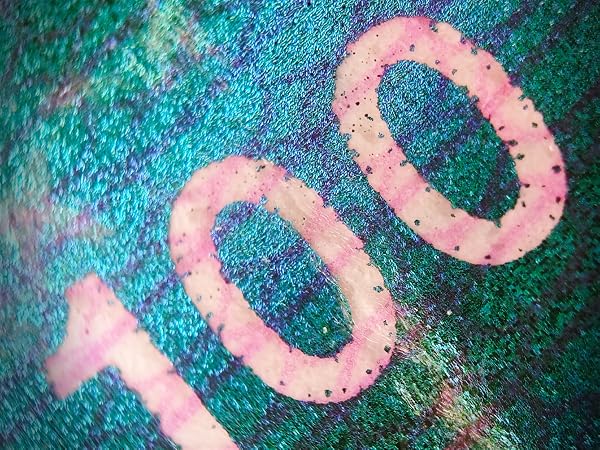 300X Phone Microscope Lens