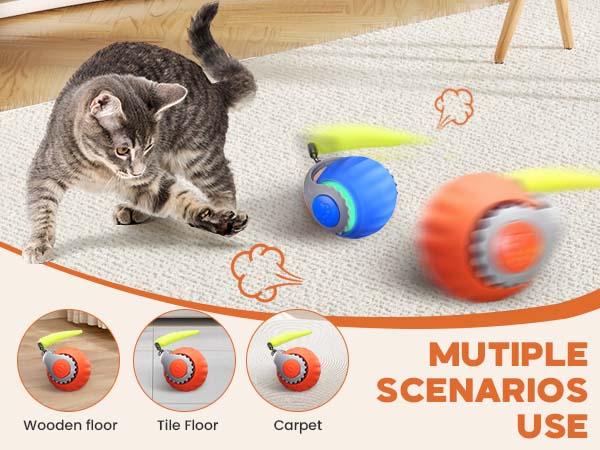 cat toy ball