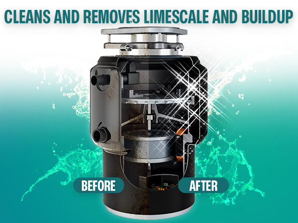 garbage disposal cleaner disposal cleaner and deodorizer sink cleaner and deodorizer