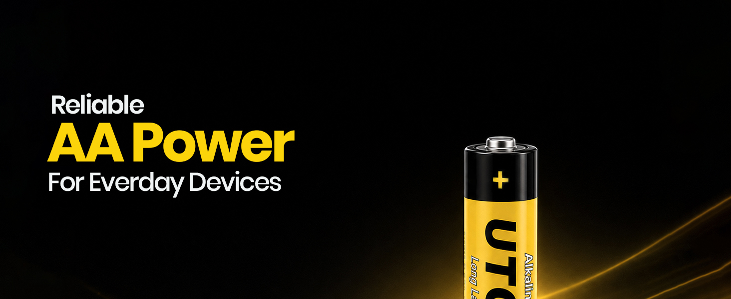 AA Batteries