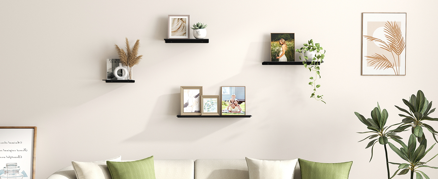 Living Room Shelves