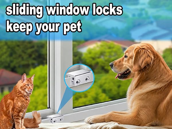 window locks