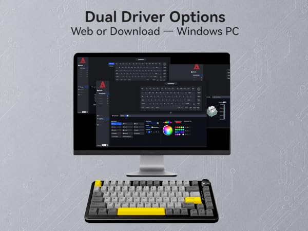 Web Driver