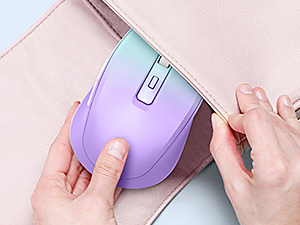 portable mouse