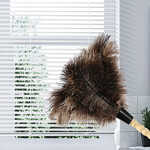 ostrich feather duster