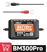 BM300 PRO 24V Battery Monitor