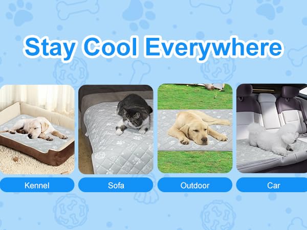 pet mat