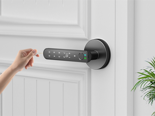 Smart Bedroom Door Lock with Backup Keys