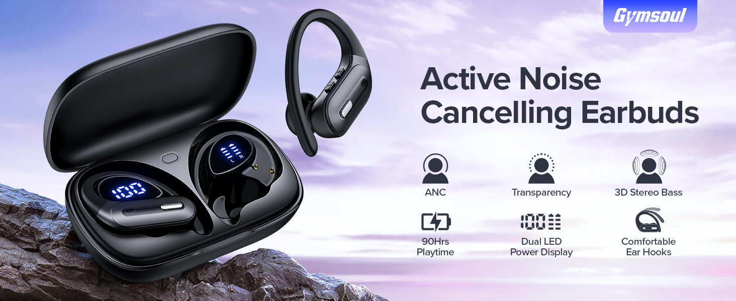 Active Noise Cancelling Earbuds