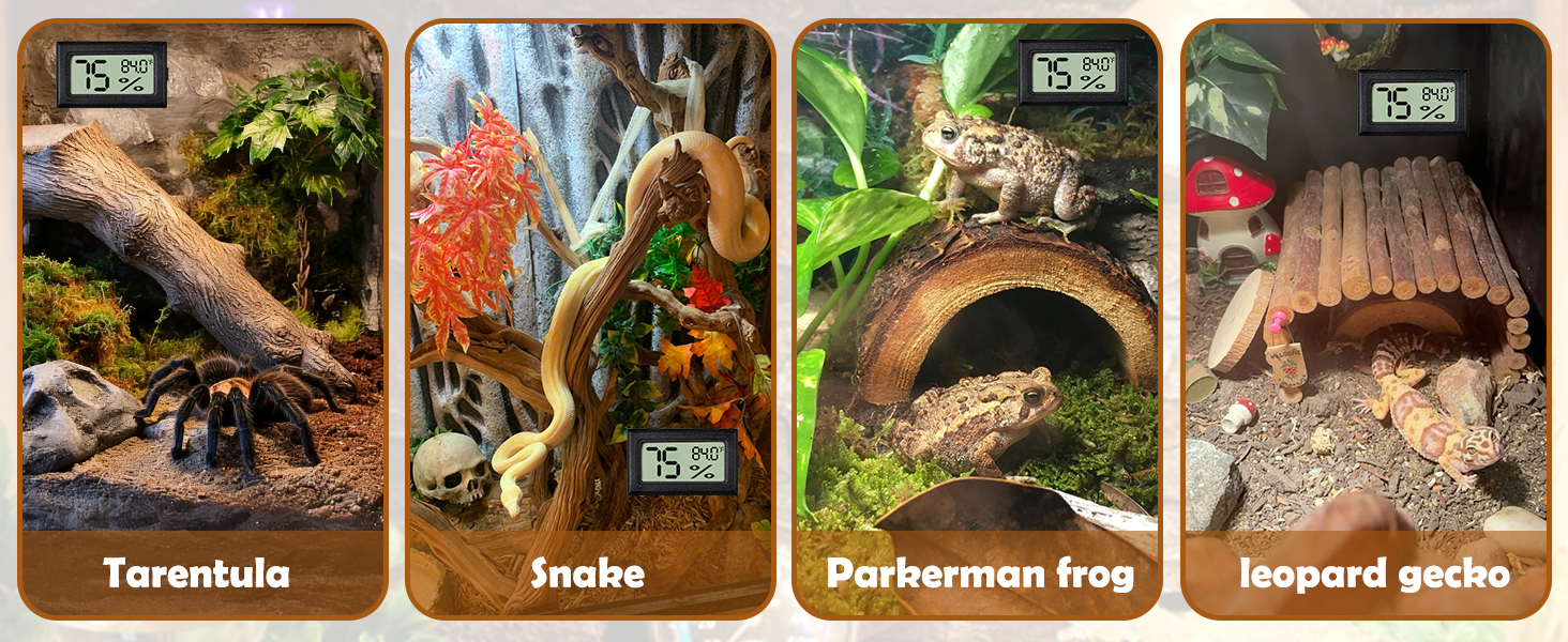 Reptile Thermometer and Humidity Gauge