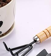 Succulent Tools