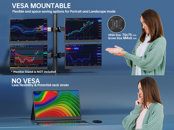 portable monitor