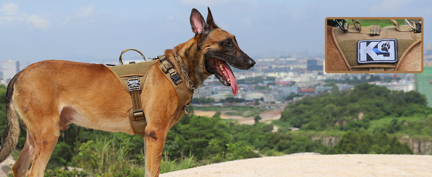 dog vest velcro