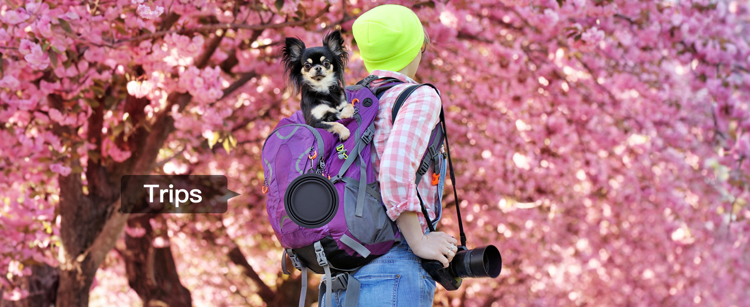 travel dog bowls