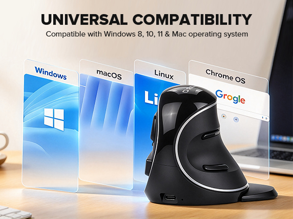 DELUX Wireless Ergonomic Vertical Mouse,Ergo Mouse for Large Hands (M618PD)