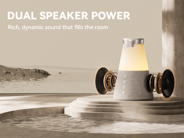 Dual Speaker Power