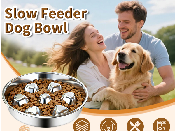 Stainless Steel Slow Feeder Dog Bowls