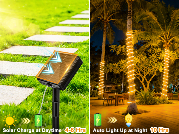 8 lighting modes