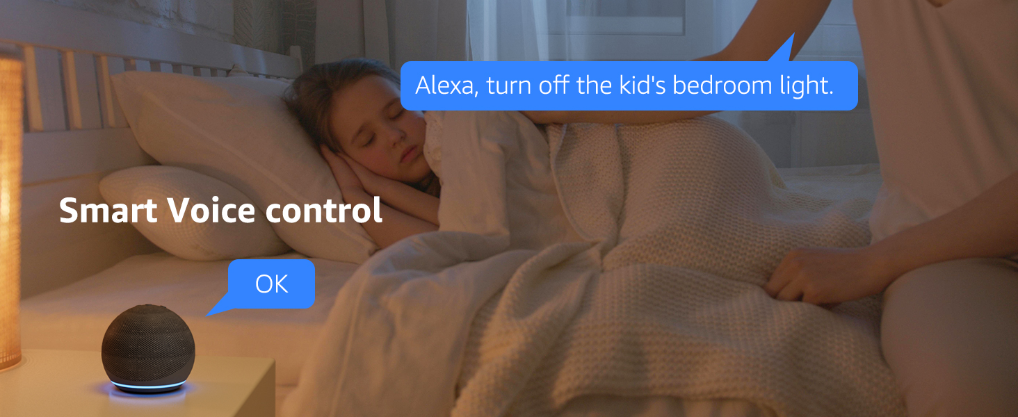 smart plugs work with alexa