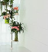 BAOYOUNI Plant Stand for Indoor Multiple Plants, 6 Tier Flower Potted Display Rack Holder Retro P...