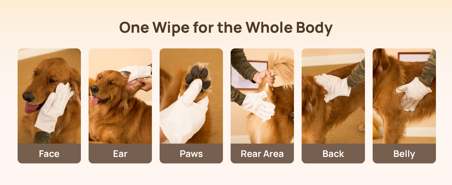 dog wipes cleaning