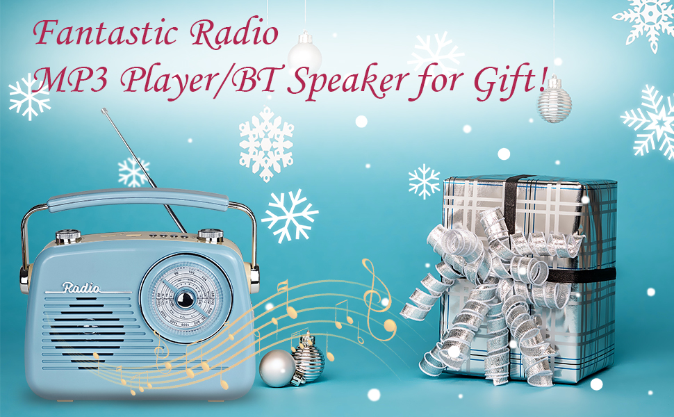 D216 portable radio Bluetooth speaker
