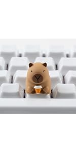 https://m.media-amazon.com/images/S/aplus-media-library-service-media/59e2b322-fd32-498f-9387-de45164c20c8.__AC_SR150,300___.jpg