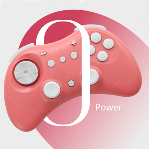 switch controller