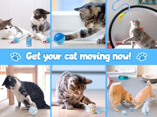 Get your cat moving now