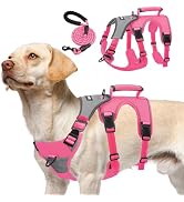 PUPTECK Escape Proof Dog Harness and Leash Set Upgraded No Pull Reflective Dog Vest with Lift Han...
